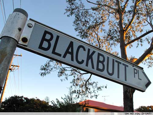 Black Butts live here