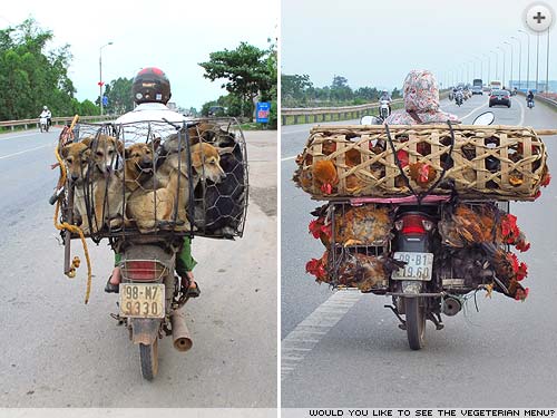 Slow Road to Hanoi - Simon Jones motorbikes through Vietnam.